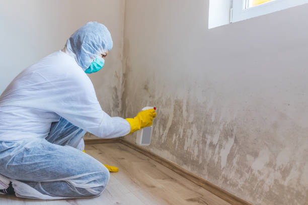Licensed Mold Testing service in Richboro, PA - WQB Mold Removal