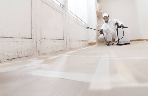 24/7 Emergency Mold Testing experts in Richboro, PA