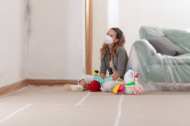 Reliable Mold Testing contractor in Richboro, PA by WQB Mold Removal